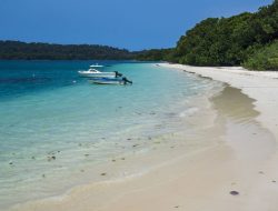 Petualangan Seru di Taman Nasional Ujung Kulon