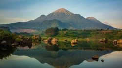 Wisata Desa BMJ Mojopahit