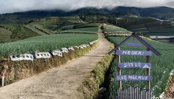 Wisata Negeri Sayur Sukomakmur
