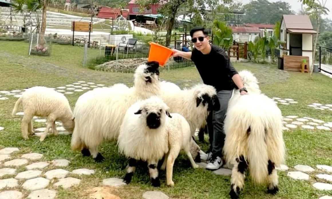 Wisata Bukit Domba