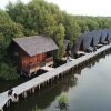 Wisata Alam Mangrove Angke Kapuk: Healing di Tengah Hijaunya Hutan Bakau Jakarta