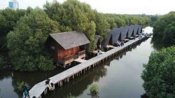 Wisata Alam Mangrove Angke Kapuk: Healing di Tengah Hijaunya Hutan Bakau Jakarta