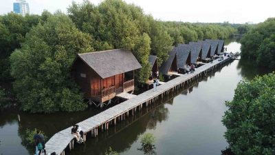 Wisata Alam Mangrove Angke Kapuk