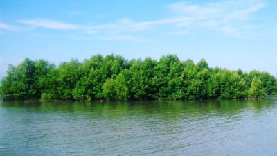 Pantai Muara Gembong: Permata Tersembunyi di Ujung Utara Bekasi