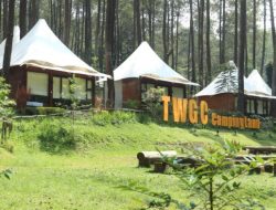 Terminal Wisata Grafika Cikole: Serunya Outbound dan Glamping di Hutan Pinus Lembang