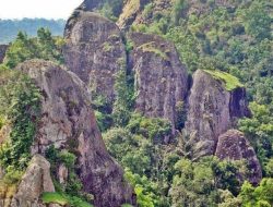 Wisata Watu Gendong: Cerita Batu Sakral yang Ternyata Seru Buat Healing
