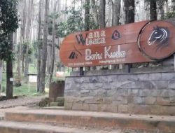 Wisata Batu Kuda: Healing Murah Meriah di Kaki Gunung Manglayang yang Bikin Nagih