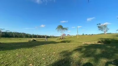 Taman Wisata Bukit Kebo: Padang Rumput Unik dengan Kerbau Berkeliaran Bebas di Balikpapan